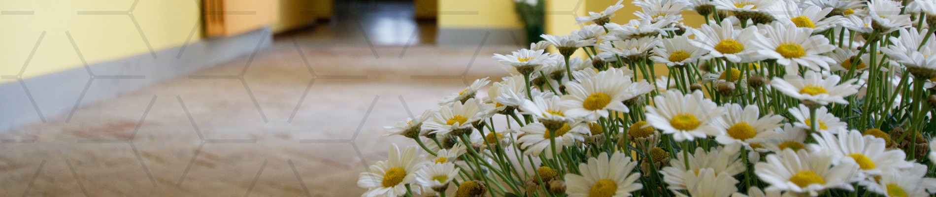 Comunità alloggio Villa Stella