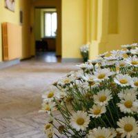 Villa Stella | Comunità Elsa